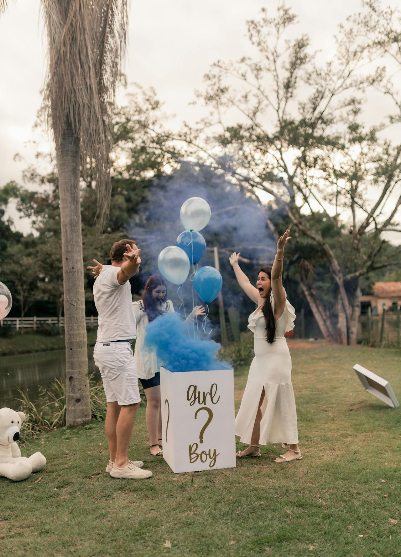 Elegant gender reveal party setup